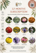 The 12 Months Subscription