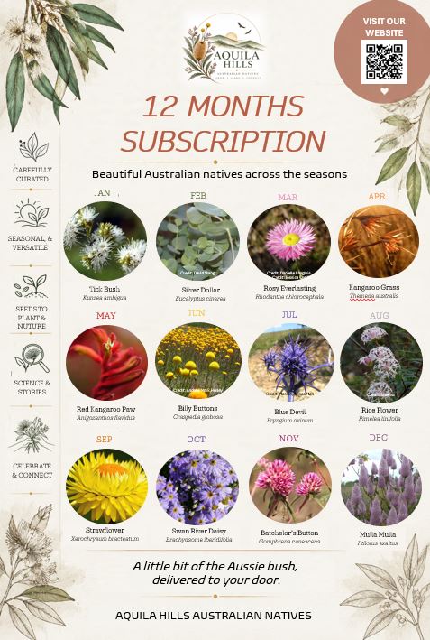 The 12 Months Subscription