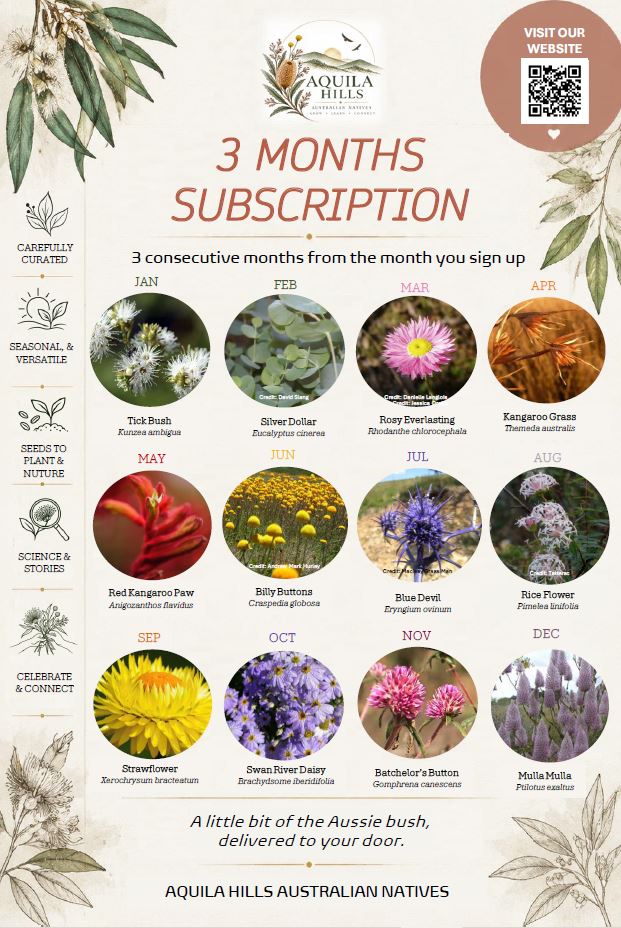 The 3 Months Subscription