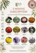 The 3 Months Subscription