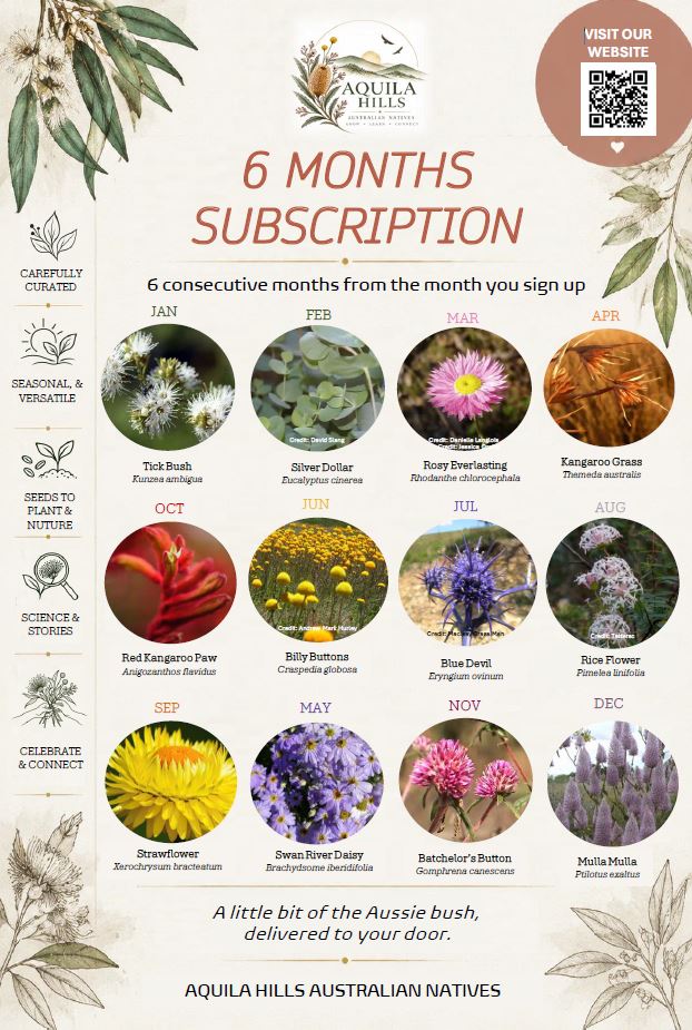 The 6 Months Subscription