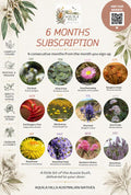 The 6 Months Subscription