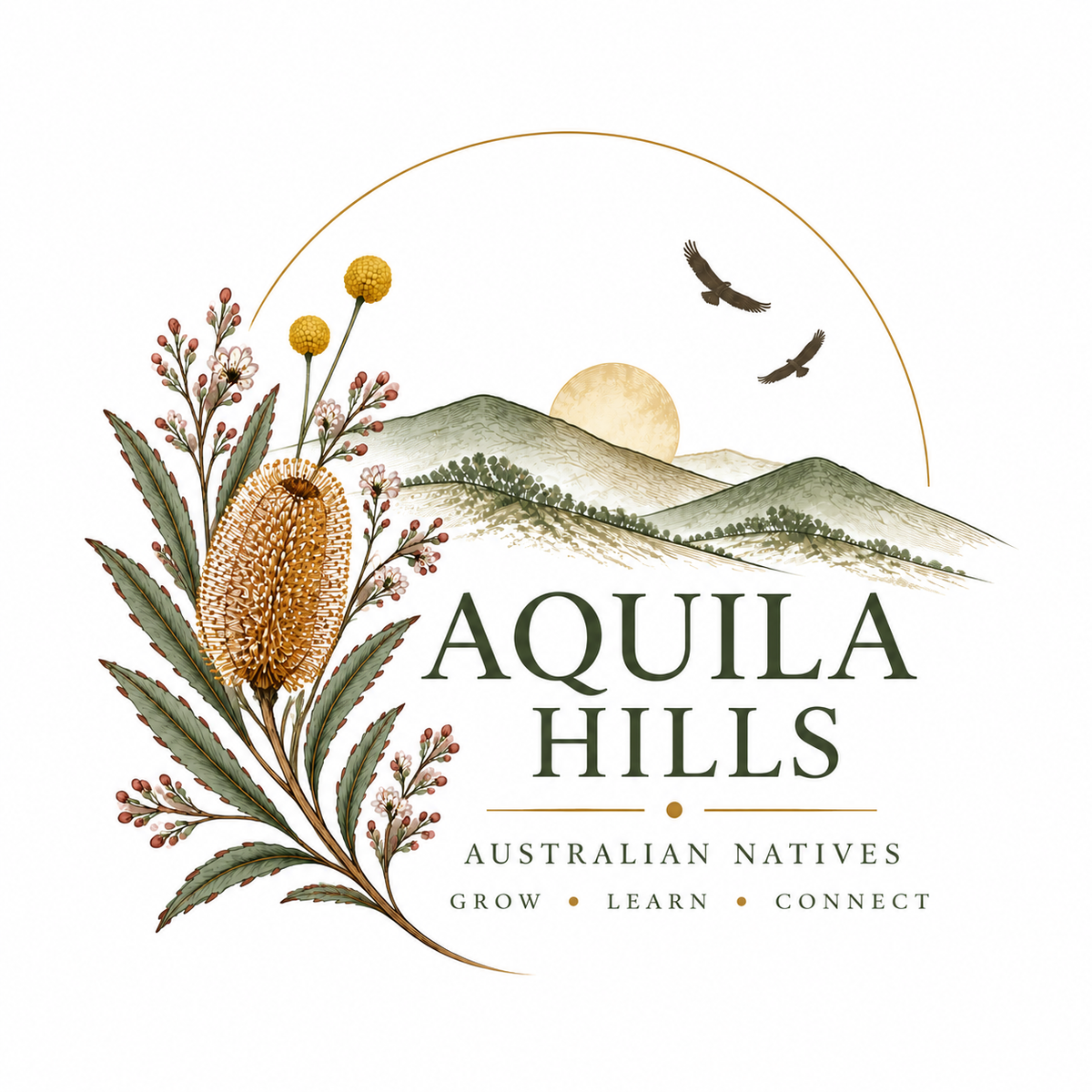 Strawflower Discovery Kit - September