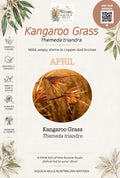 Kangaroo Grass Discovery Kit - April